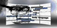 快排公司十年历程，霸屏兔 seo 的崛起与坚守