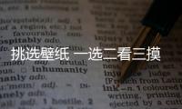 挑选壁纸 一选二看三摸四擦五闻