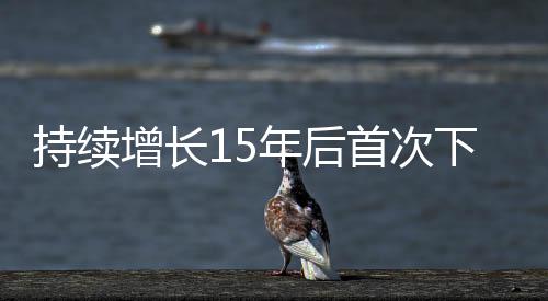 天津市律师协会会长才华认为