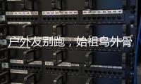 户外友别跑，始祖鸟外骨骼裤来一条？