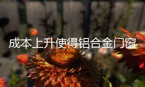 从品质到服务体系可以说