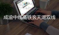 快排公司十年历程，霸屏兔 seo 的崛起与坚守