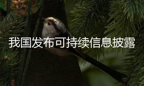 具体准则和应用指南组成