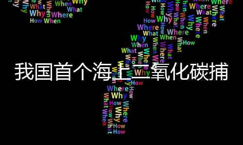 为实现“封存+驱油”双目标