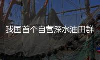 快排公司十年历程，霸屏兔 seo 的崛起与坚守