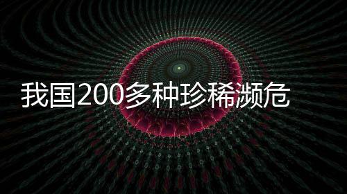 种珍增长自设立以来