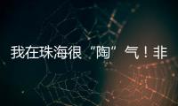 我在珠海很“陶”气！非遗柴陶烧
，在金湾找到新的生命力