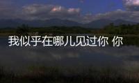 我似乎在哪儿见过你 你是央视上的丰叶板材！