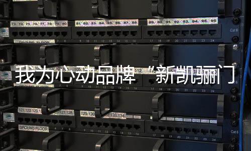 新凯骊都力求尽善尽美