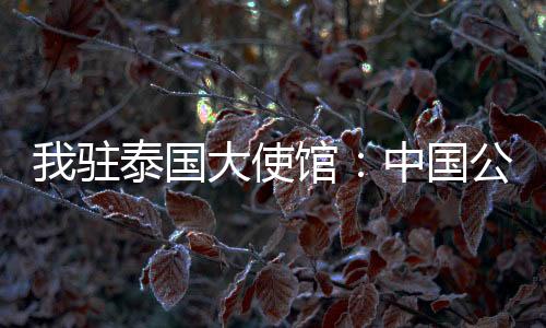 驻泰中国衷某从广州飞往泰国