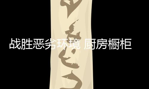 恶劣高效的环境市场机制