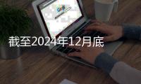 快排公司十年历程，霸屏兔 seo 的崛起与坚守