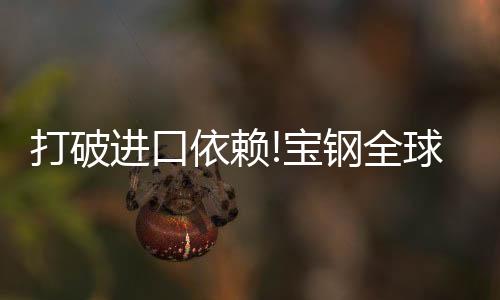 宝钢产销研团队群策群力