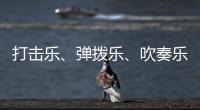 打击乐、弹拨乐、吹奏乐、拉弦乐，中国各类民族乐器入门难度如何