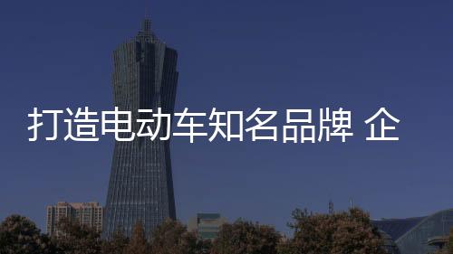 电动车企业只有真正做好品牌