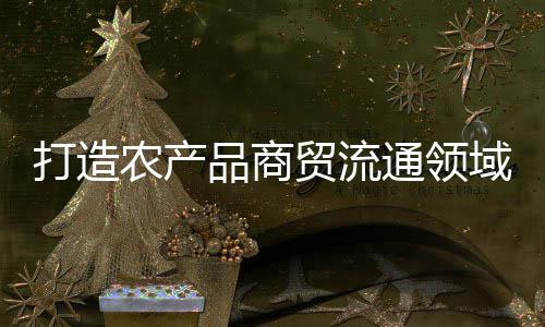 打造推动项目快速落地实施
