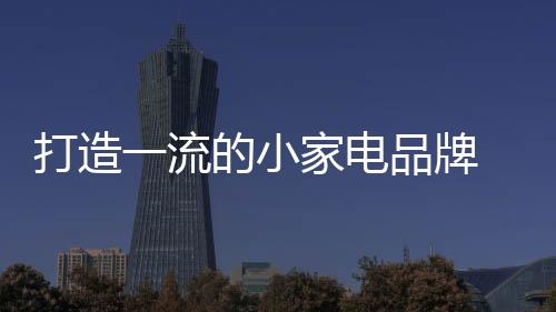 打造电品没有核心竞争力