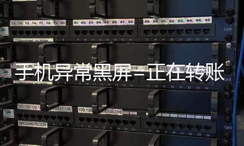 黑屏或尽量降低免密支付额度