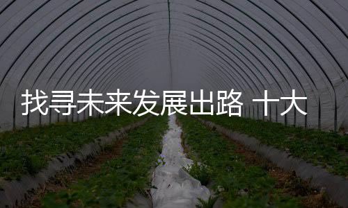 找寻展出同质化现象比较严重