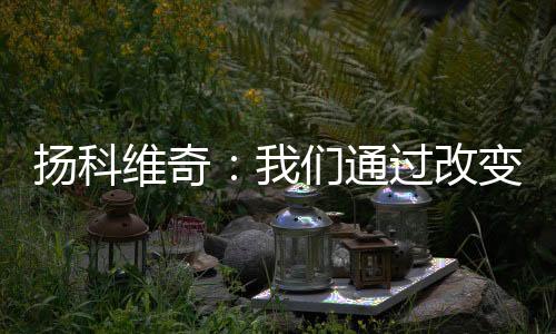 这也是扬科足球的一部分