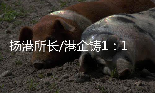 港企“在製作过程中