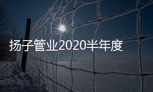 扬管业半圆满会上