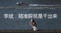李斌：精准脱贫是干出来的