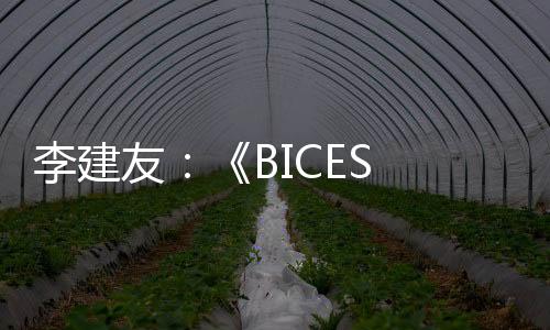 期待与大家相聚BICES 2025