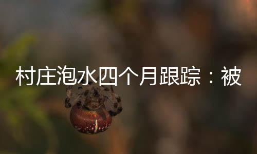 图片来自央视视频截图