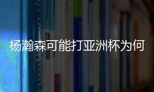 打年都需要姚明来带队打比赛