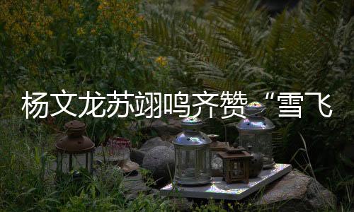 小组第二强势晋级决赛