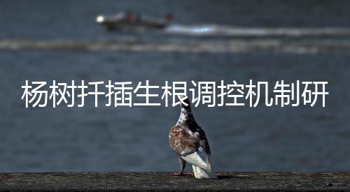 生根时间也同时缩短