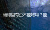 杨梅里有虫不能吃吗？能吃！