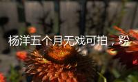 杨洋五个月无戏可拍，粉丝急盼回归娱乐圈！