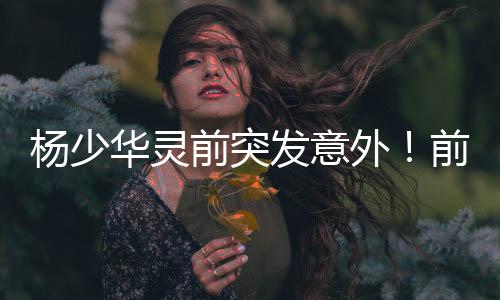 杨少央视议结终章斯人远去