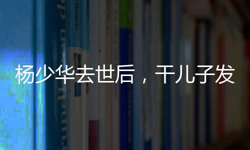 觉得能公开的杨少都公开了