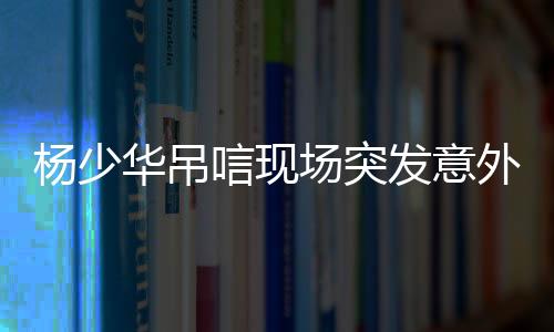 只见杨议双腿盘坐在罗汉床上