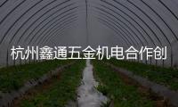 快排公司十年历程，霸屏兔 seo 的崛起与坚守