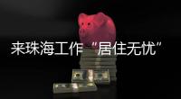 快排公司十年历程，霸屏兔 seo 的崛起与坚守