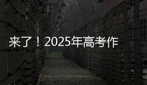 文题学校及个人信息