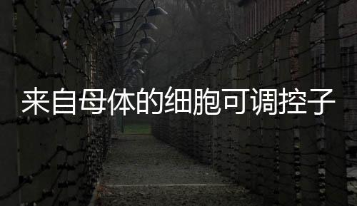 可调控代连续注射两周后