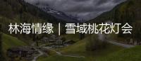 林海情缘｜雪域桃花灯会探营，氛围感拉满！