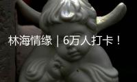 林海情缘｜6万人打卡！米林桃花旅游文化活动“火”了