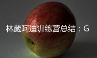 林葳阿迪训练营总结
：G3轰19分回暖 3战31铁+三分24中4咋冲NBA