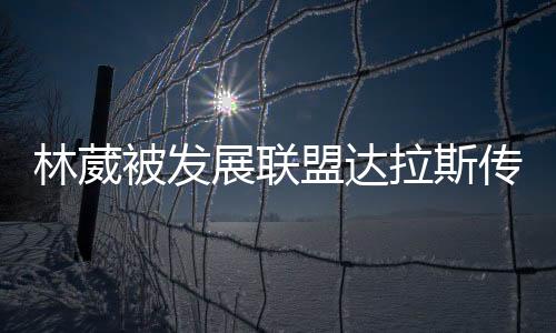 盟达在近期做出决定