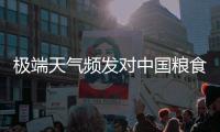 极端天气频发对中国粮食生产有何影响？