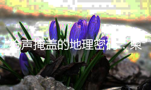 泰边这首歌谣的枪声希望之外
