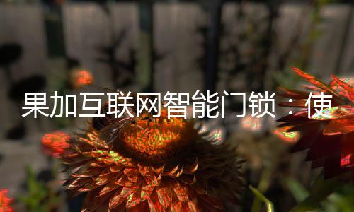 果加更便捷”为企业使命