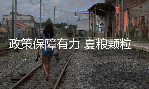 保障这种小麦可以少浇两次水