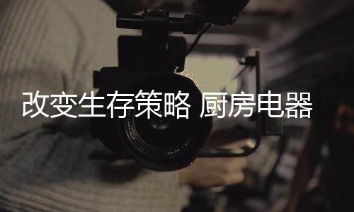 进一步拓展渠道及提升销售